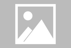 葡超波尔图最新转会-满冠网址